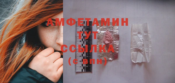гашик Мегион