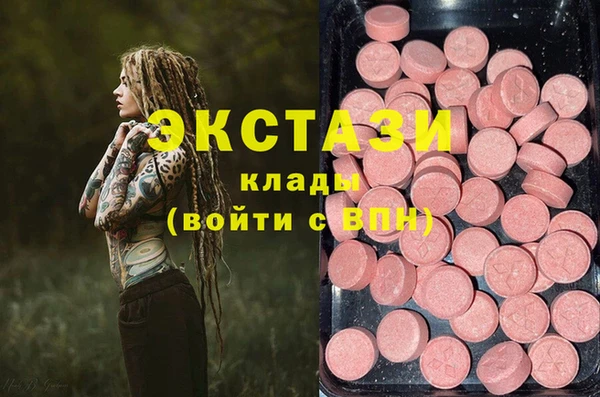 гашик Мегион