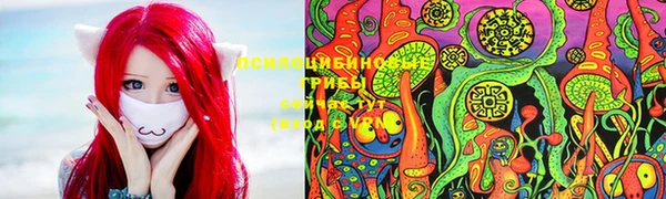СК Верея