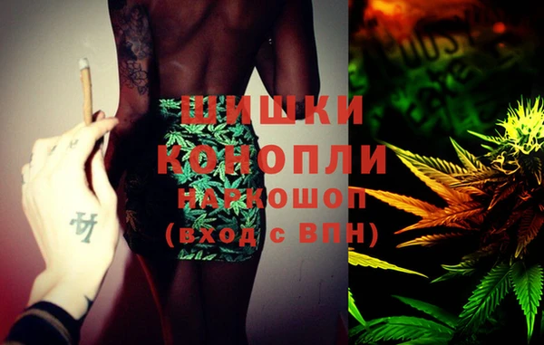 гашик Мегион