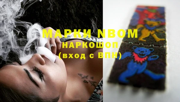 гашик Мегион