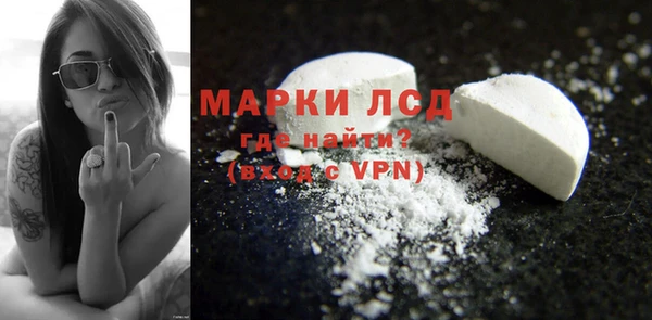 СК Медвежьегорск